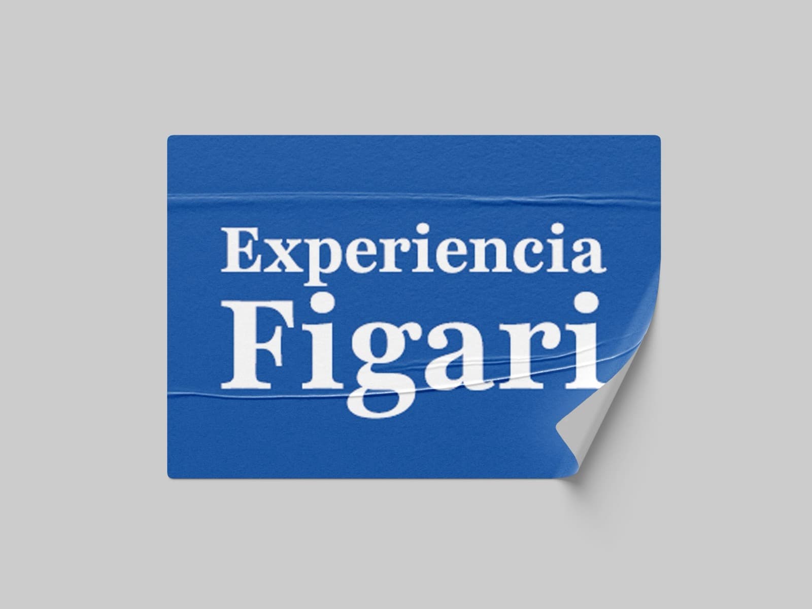 Sistema de Comunicación para Museo - Imagen 5